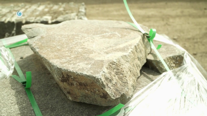 Nova zahrada - slapaky